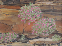 painting of flowering plants growing out from the cracks within rocks