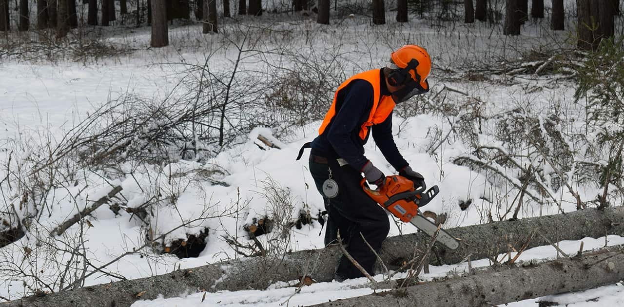 a UMFK forestry student uses a chainsaw in winter