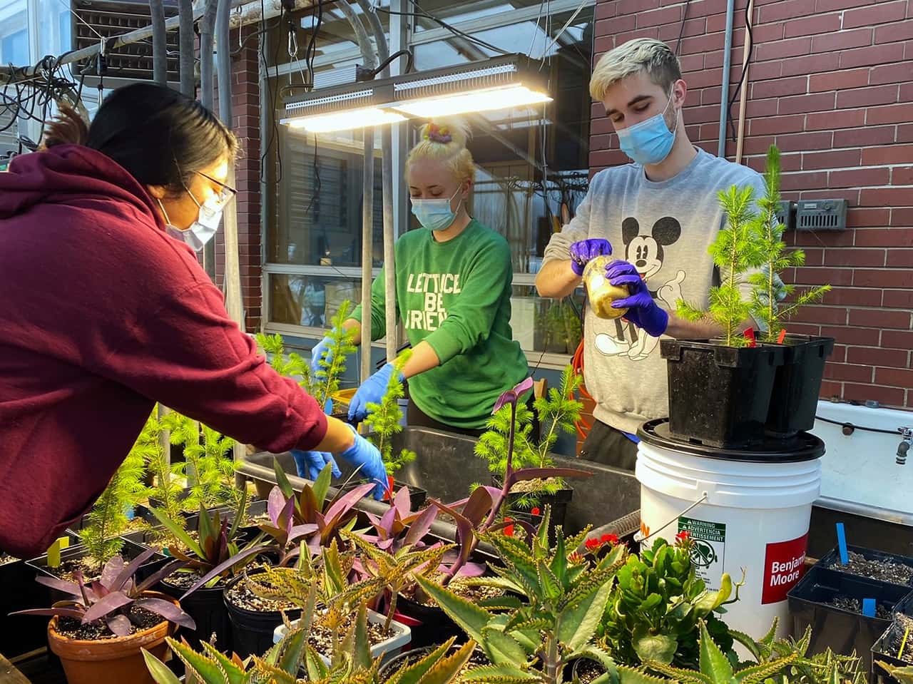 Maine's Health Sciences Campus with Professional Programs