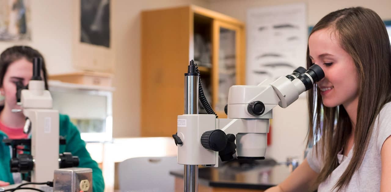 two female students using microscopes