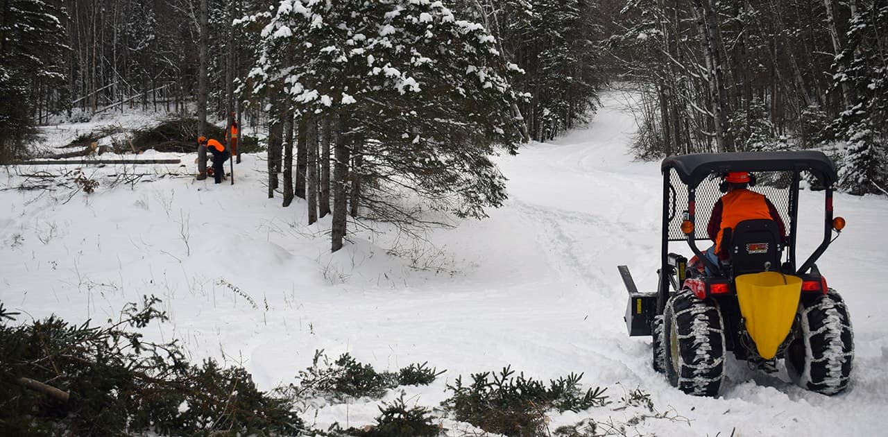 students use heavy equipment in the woods during winter