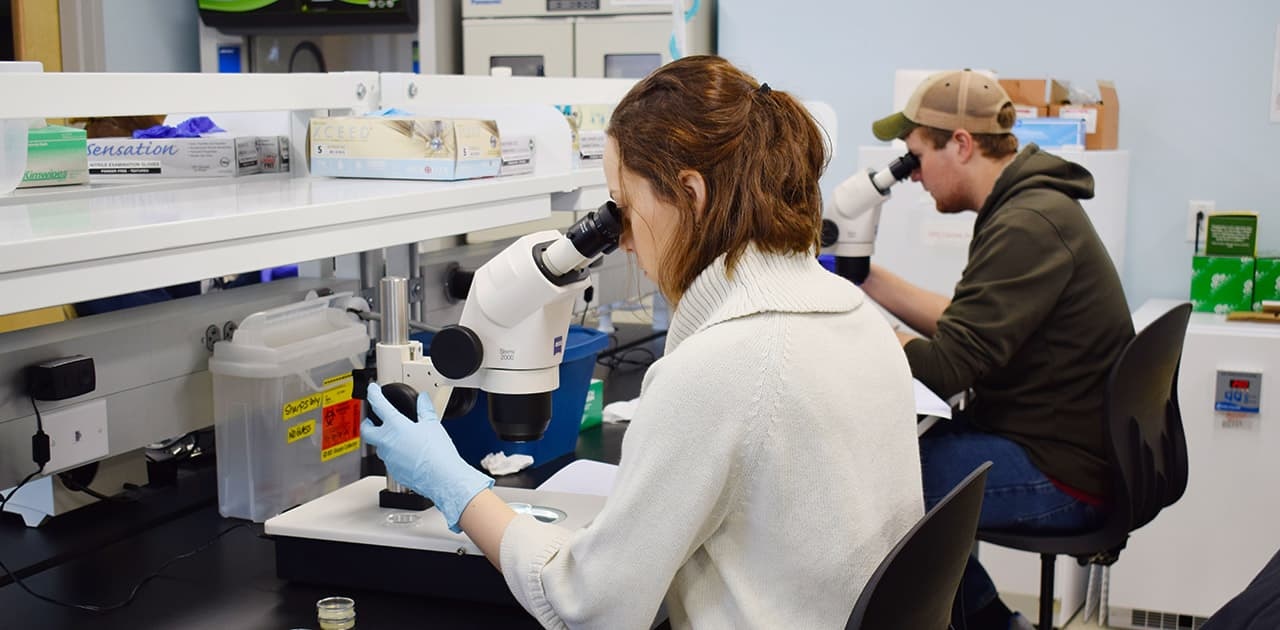 two students each observe a specimen through a microscope