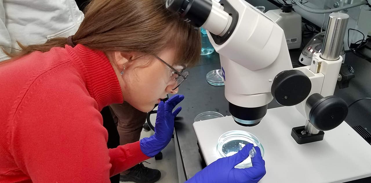 a female student places a sample in a Petri dish to observe through a microscope