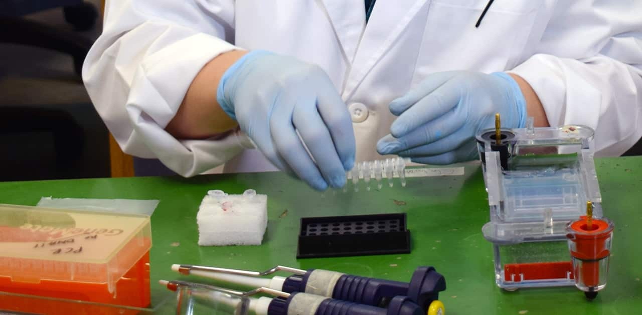 a student conducts an experiment while wearing gloves