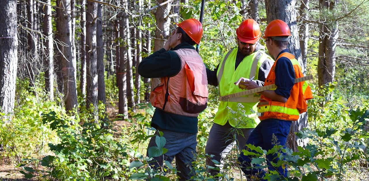 forestry students practicing surveying