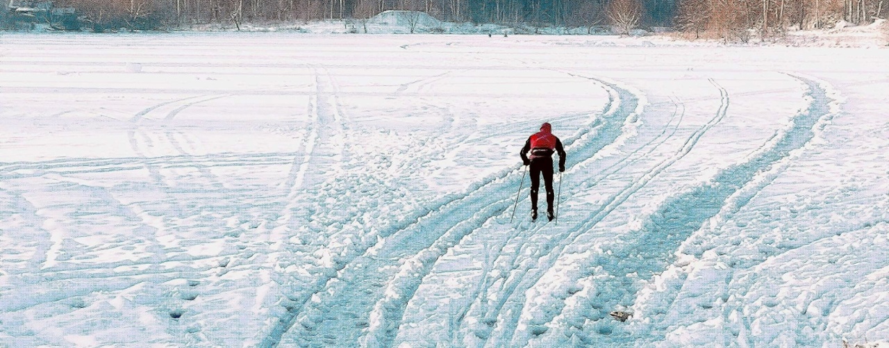 a lone student cross-country skiing in a local field. the woods are in the background.